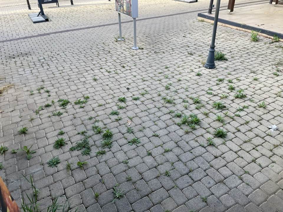 Térkő tisztítás Balaton – felület mosás közben